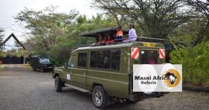 Safari Tour Operators in Kenya